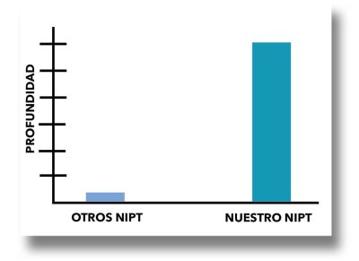 OTROS-NIPT-NUESTRO-NIPT-REBORDE-GRIS-DIFUMINADO